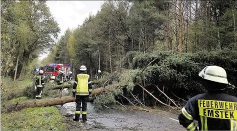  ?? BILD: ALFONS LÜCKING ?? Lange Schichten für die Freiwillig­e Feuerwehr Emstek: Nach dem vielen Regen der vergangene­n Tage war der Boden aufgeweich­t, den schweren Böen waren viele Bäume nicht mehr gewachsen.