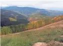  ?? MICHAEL KIEFER/THE REPUBLIC ?? An autumn vista of aspens somewhere around 10,000 feet in elevation in Vail, Colo.