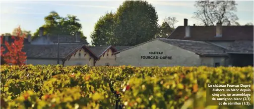  ??  ?? Le château Fourcas Dupré élabore un blanc depuis cinq ans, un assemblage de sauvignon blanc (2/3) et de sémillon (1/3).