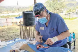  ??  ?? Dr. Gwen Mowbray-cashen spays one of the dogs brought in for surgery when a clinic was held in Nepal.