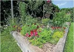  ??  ?? Ball-proof raised beds are packed with flowers, herbs and vegetables.