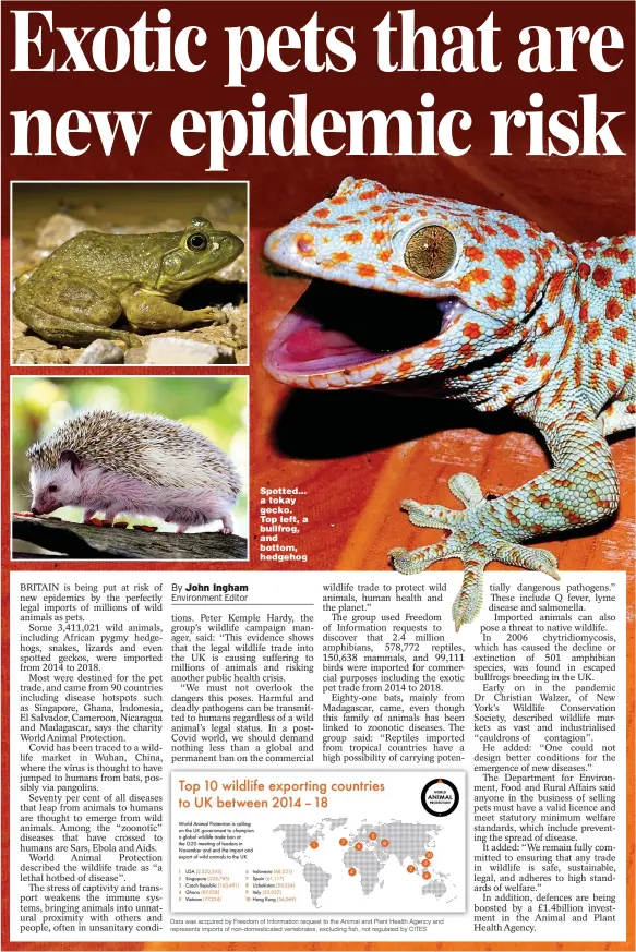  ??  ?? Spotted... a tokay gecko. Top left, a bullfrog, and bottom, hedgehog