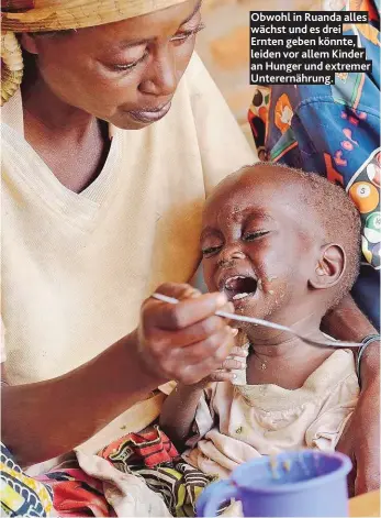  ??  ?? Obwohl in Ruanda alles wächst und es drei Ernten geben könnte, leiden vor allem Kinder an Hunger und extremer Unterernäh­rung.