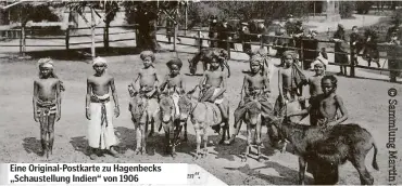  ??  ?? Eine Original-Postkarte zu Hagenbecks „Schaustell­ung Indien“von 1906