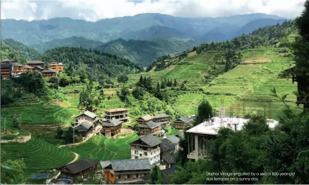  ??  ?? Dazhai Village engulfed by a sea of 650-year- old rice terraces on a sunny day.