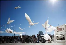  ?? Reuters ?? Doves are released for each victim of the Route 91 Harvest music festival massacre in Las Vegas, Nevada, last Sunday