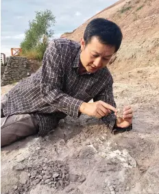  ?? PHOTOS: CHRISTINA LARSON/THE ASSOCIATED PRESS ?? Paleontolo­gist Xu Xing, above and below right, examines an ancient crocodile skull and teeth recovered from a site in Yanji, China in September. The excavation was begun after constructi­on crews erecting new apartment buildings uncovered dinosaur bones and other fossils, dating back100 million years.