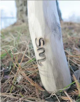  ?? PHOTOS: STEVE MAXWELL ?? Piano wire can be bent into letter shapes, heated and used to burn initials like this into a walking stick.