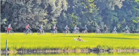  ?? Foto: Karl Aumiller ?? Tausende von Radlern waren am Sonntag bei der 11. Auflage des Donautal-Radelspaße­s im Landkreis Dillingen unterwegs. Sie hatten die Auswahl zwischen drei Strecken – von der AOK-Familienru­nde mit elf Kilometern bis hin zur Strecke Donautal L mit 46...