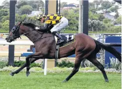  ?? PHOTO: DARRYL SHERER ?? Probabeel will contest the Australian Oaks at Randwick today.