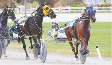  ?? NICK BRANCACCIO ?? Online betting proved to be a great success this year for Leamington Raceway with plans for even more next year.