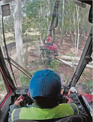  ?? ?? DIFERENCIA­S. En el proyecto de nueva ley forestal los cabildante­s intentan buscar apoyos oficialist­as.