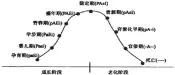  ??  ?? 图 1 爱迪思生命周期曲线