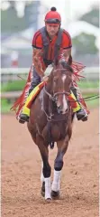  ?? MARK ZEROF, USA TODAY SPORTS ?? Likely Derby favorite Classic Empire walks the course Sunday at Churchill Downs.