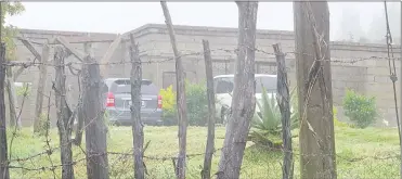  ?? ?? Cars belonging to some of the mourners who were found at the Dube homestead yesterday.