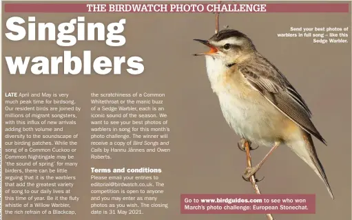  ??  ?? Send your best photos of warblers in full song – like this Sedge Warbler.