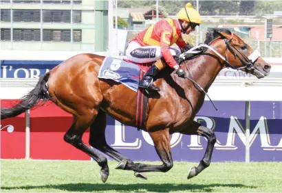  ??  ?? DELPECH MAGIC. Black Arthur, pictured winning last season's KRA Guineas at Greyville, could be ridden by Anthony Delpech in this year's Vodacom Durban July. Delpech has won the country's biggest race four times already.
