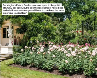  ??  ?? Buckingham Palace Gardens are now open to the public at £16.50 per ticket, but to see the rose garden, hosta beds and wildflower meadow you will have to purchase the more expensive ‘guided tour’