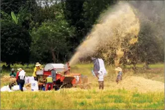  ?? ROMEO RANOCO / REUTERS ?? Farmers use a threshing machine in a rice field in Calumpit town, Bulacan province, the Philippine­s.