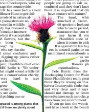  ??  ?? Common knapweed is among plants that can be picked if there are plenty about