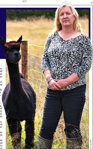  ??  ?? DEATH SENTENCE: Farmer Helen Macdonald with her alpaca Geronimo