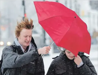  ?? PETER LEE WATERLOO REGION RECORD ?? Wilfrid Laurier University students William Mewhiney, left, from Heidelberg, and Emily Young, from Burlington, carry an umbrella to protect themselves against the driving sleet as they walk in uptown Waterloo.