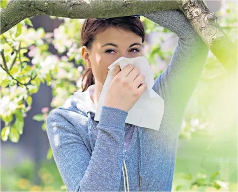  ??  ?? Be prepared: hay fever will kick off for many of us later this month, when tree pollen gets airborne