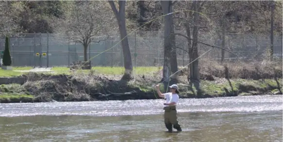  ?? DANIEL OTIS PHOTOS/TORONTO STAR ?? Matthew Saieva fly fishes on the Humber River in front of the York Old Mill Tennis Club. The York University student uses homemade flies, bundles of fish eggs, worms and multicolou­red beads.