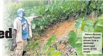  ?? HOPETON BUCKNOR ?? Garnett Poyser shows how a landslide destroyed some of his crops.