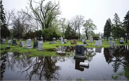  ?? ASHLEE REZIN GARCIA/SUN-TIMES ?? Tombstones sit in standing water on May 18 at Bohemian National Cemetery, 5255 N. Pulaski Rd.
