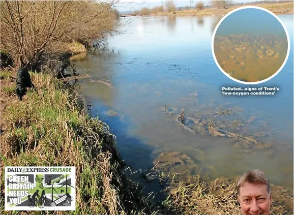  ?? ?? Polluted...signs of Trent’s ‘low-oxygen conditions’