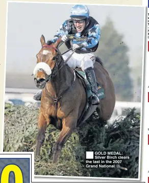  ??  ?? GOLD MEDAL: Silver Birch clears the last in the 2007 Grand National