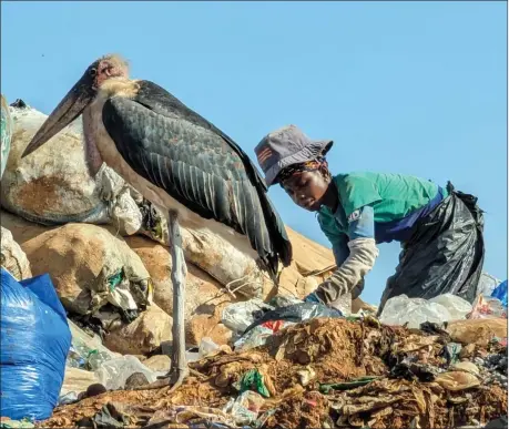  ?? ?? Will all be ‘well in the end’ for people like this woman? She, and the vulture, are both scavengers pictured at Kiteezi Landfill site, Kampala, Uganda, in February – both looking for what they need to survive. Photo by Laurence Speight.