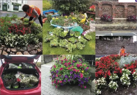  ??  ?? The work of Wexford Tidy Towns volunteers.