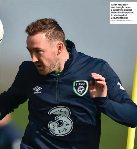  ?? DAVID MAHER/SPORTSFILE ?? Aiden McGeady was brought on as a substitute against Wales but is expected to start against Iceland tonight