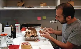  ??  ?? A conservato­r of archeologi­cal works on a human skull in a lab at the American School of Archeology in Athens.