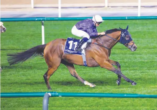  ?? File ?? Naval Power aims to consolidat­e an excellent North American debut with a first top-level success in the G1 Turf Classic on the Kentucky Derby undercard at Churchill Downs on Saturday.