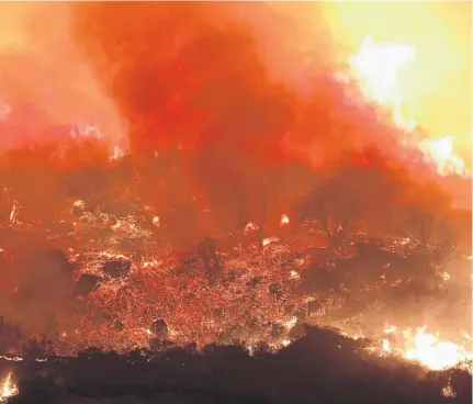  ?? DAVID MCNEW • REUTERS ?? Flames grow at a wildfire burning in the hills of Santa Barbara, Calif., in November 2019.