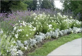  ?? DEBORAH SILVER/THE ASSOCIATED PRESS ?? This 2006 image provided by landscape and garden designer Deborah Silver shows a moon garden she designed and planted at the Cranbrook Educationa­l Community museum complex in Bloomfield Hills, Mich.