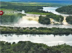  ??  ?? Arriba: vista aérea de la laguna Canaima y del salto Kaieteur, en Guyana. Derecha: una iguana, un monito comiendo y un ave endémica del Parque Nacional Kaieteur, el cock of the rock. Abajo: todo el grupo en la frontera entre Brasil y Venezuela.