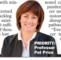  ??  ?? PRIORITY: Professor Pat Price