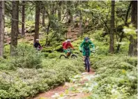  ?? Foto: oh ?? Mountainbi­ker finden de Trails. im Naturpark Oberer Bayerische­r Wald spannen
