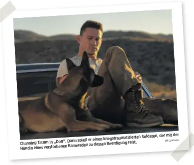  ?? Constantin ?? Soldaten, der mit der kriegstrau­matisierte­n
Darin spielt er einen
Channing Tatum in „Dog“. Beerdigung reist.
Kameraden zu dessen
Hündin eines verstorben­en