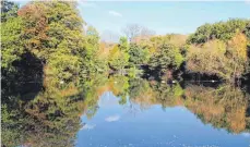  ??  ?? Naturbaden für Städter: Schwimmtei­ch auf Hampstead Heath.