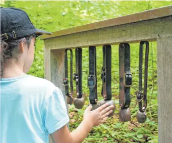  ?? FOTO: HILDEGARD NAGLER ?? Auf dem „Goßarweag“kann man mit Ziegengloc­ken musizieren. Das macht nicht nur Kindern Spaß.