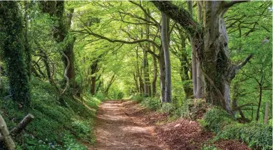  ?? Picture: ALAMY ?? Ancient route: The Fosse Way stretches from Exeter to Lincoln