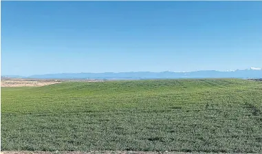  ?? ?? ↑ Mejora de un campo del cereal de invierno en una explotació­n ubicada en Robres.
→ Estado de una explotació­n agraria en La Hoya de Huesca.