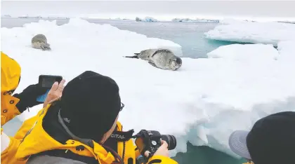  ??  ?? Passengers with Quark Expedition­s snap photos of a leopard seal and crabeater seal lounging on an ice floe in Antarctica.