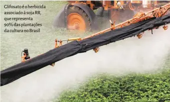  ??  ?? Glifosato é o herbicida associado à soja RR, que representa 90% das plantações da cultura no Brasil