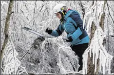  ??  ?? Wildlife biology student Wendy Leuenberge­r measures ice accumulati­on after a team of scientists sprayed water on trees the night before.